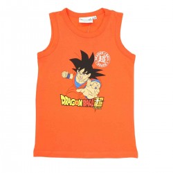 Tee shirt dragon ball z