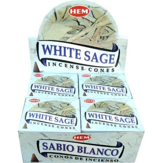 Cones sauge et paolo santo